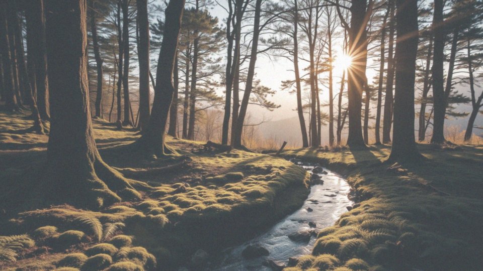 Jakie są wierzenia szamańskie dotyczące jedności z naturą?